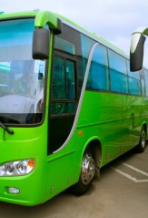 MyFaceMyBody Big Green Bus