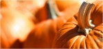 Pumpkins 2