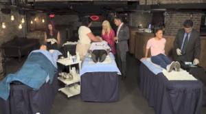 Stephen Handisides on Sky TV